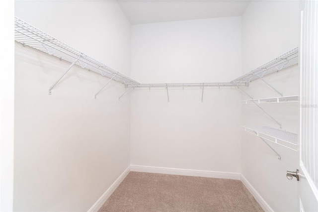 8952 Scallop Way, Placida, FL 33946 - spacious closet featuring light carpet