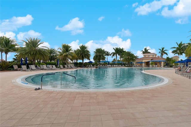 13859 Vadini St, Venice, FL 34293 - community pool featuring a patio
