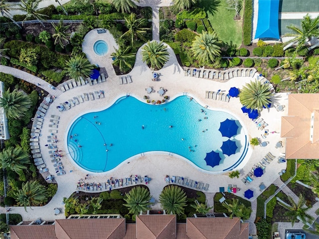 13859 Vadini St, Venice, FL 34293 - bird's eye view of a pool