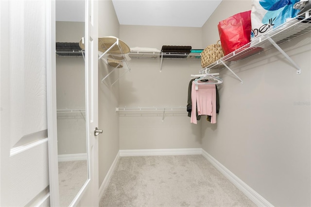 13859 Vadini St, Venice, FL 34293 - walk in closet with carpet floors