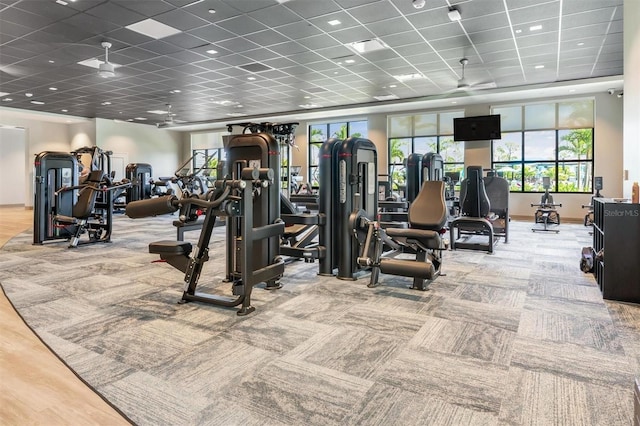 12470 Wellen Golf St Unit 108, Venice, FL 34293 - gym with a drop ceiling, healthy amount of natural light, and carpet flooring