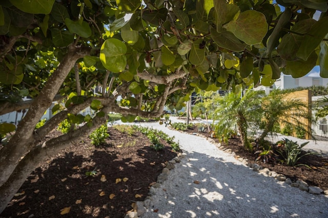 5700 Gulf Shores Dr Unit B-137, Boca Grande, FL 33921 - view of yard