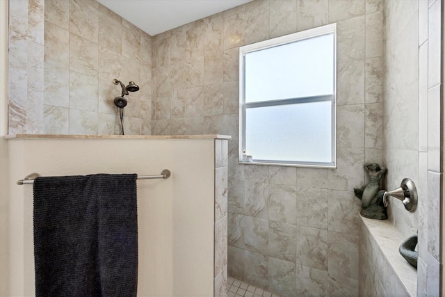 8127 Consul St, Port Charlotte, FL 33981 - full bath with walk in shower