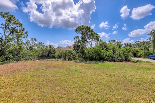 10242 Hallendale Dr, Port Charlotte, FL 33981 - view of green lawn