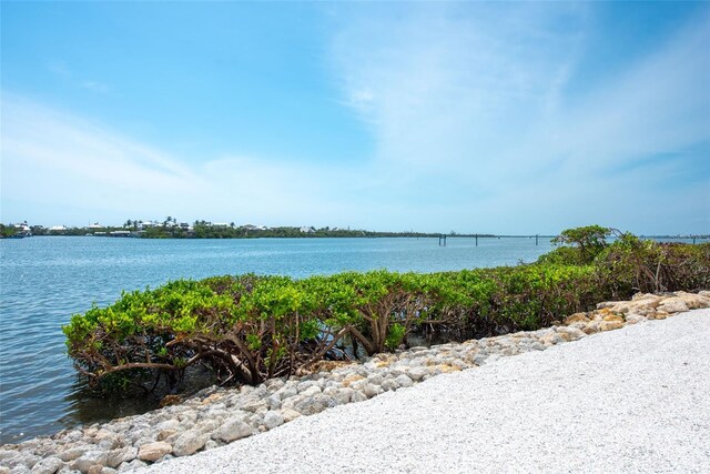 8005 Bay Pointe Dr, Englewood, FL 34224 - photo 62