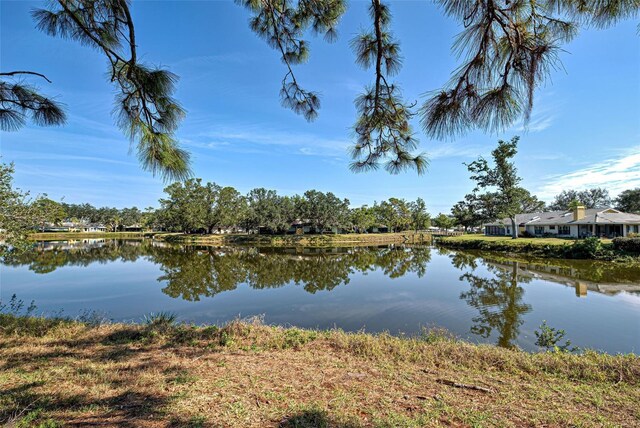 232 Southampton Ln Unit 259, Venice, FL 34293 - photo 41