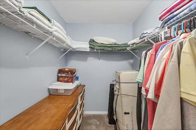 534 Wekiva River Ct Unit 103, Englewood, FL 34223 - spacious closet featuring carpet floors