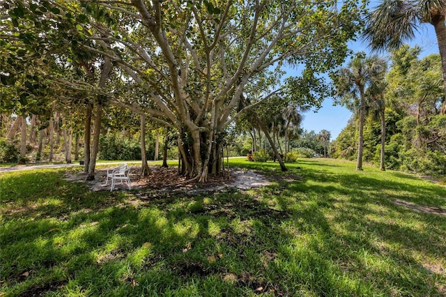 7505 Manasota Key Rd, Englewood, FL 34223 - photo 3