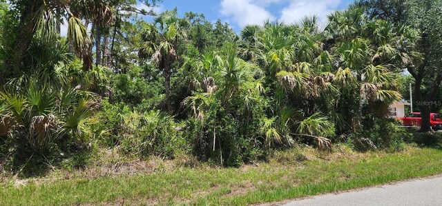 436 Hutchins St, Port Charlotte, FL 33953 - photo 5