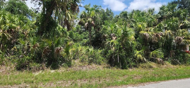 436 Hutchins St, Port Charlotte, FL 33953 - photo 6