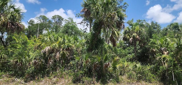 436 Hutchins St, Port Charlotte, FL 33953 - photo 7