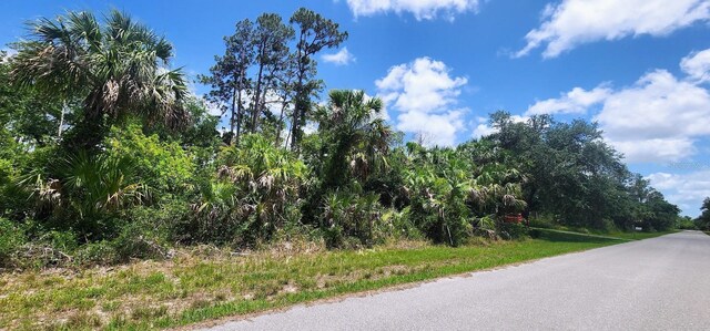 436 Hutchins St, Port Charlotte, FL 33953 - photo 11