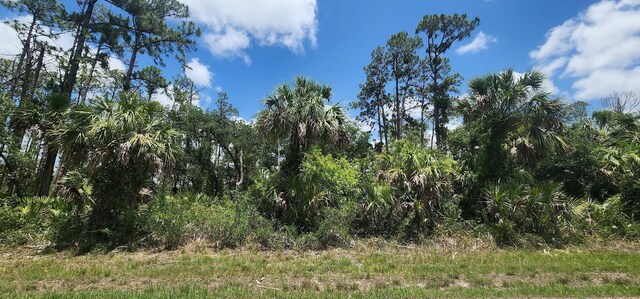 436 Hutchins St, Port Charlotte, FL 33953 - photo 14