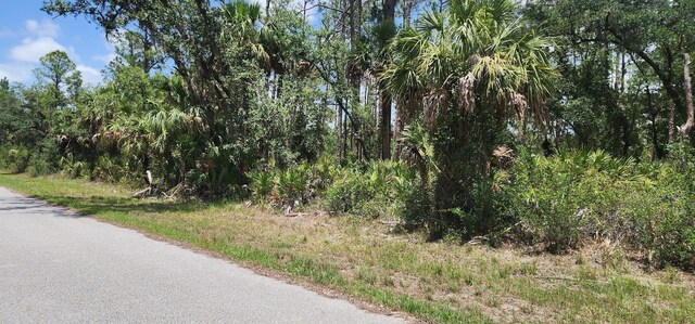 436 Hutchins St, Port Charlotte, FL 33953 - photo 18