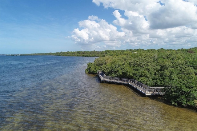 1040 Caples St, Englewood, FL 34223 - water view featuring a heavily wooded area