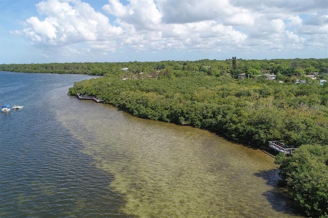 1040 Caples St, Englewood, FL 34223 - bird's eye view of a large body of water and a heavily wooded area