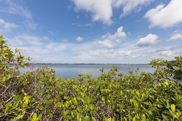 1040 Caples St, Englewood, FL 34223 - water view