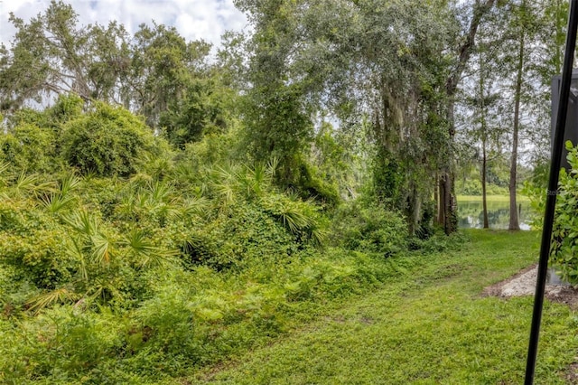 8228 Villa Grande Ct, Sarasota, FL 34243 - view of local wilderness with a nearby body of water