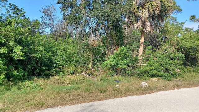 8228 Villa Grande Ct, Sarasota, FL 34243 - view of undeveloped land