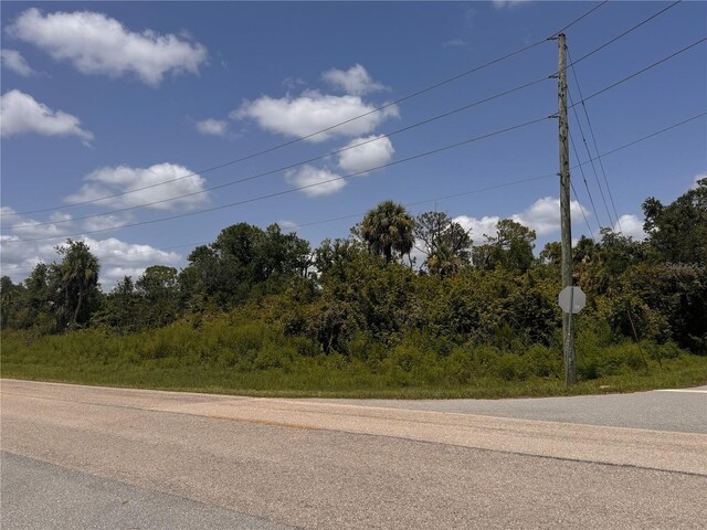 13276 Johannes Ave, Port Charlotte, FL 33953 - photo 1