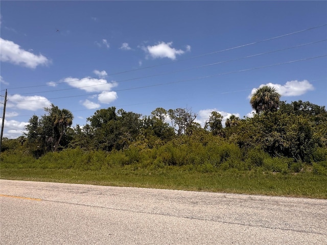 13276 Johannes Ave, Port Charlotte, FL 33953 - photo 6