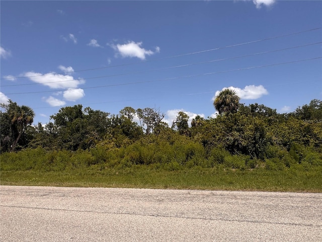 13276 Johannes Ave, Port Charlotte, FL 33953 - photo 7
