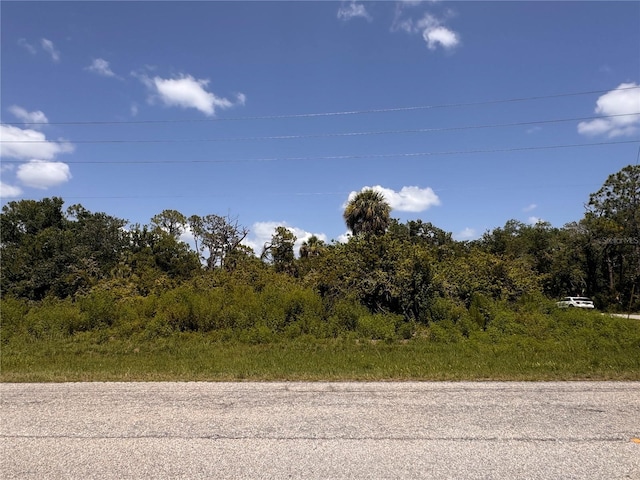 13276 Johannes Ave, Port Charlotte, FL 33953 - photo 8