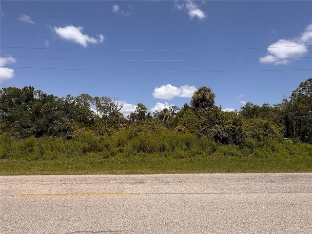 13276 Johannes Ave, Port Charlotte, FL 33953 - photo 9