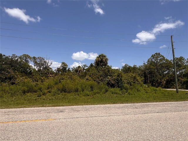 13276 Johannes Ave, Port Charlotte, FL 33953 - photo 10