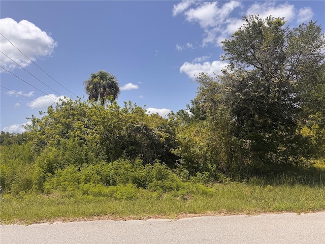13276 Johannes Ave, Port Charlotte, FL 33953 - photo 11