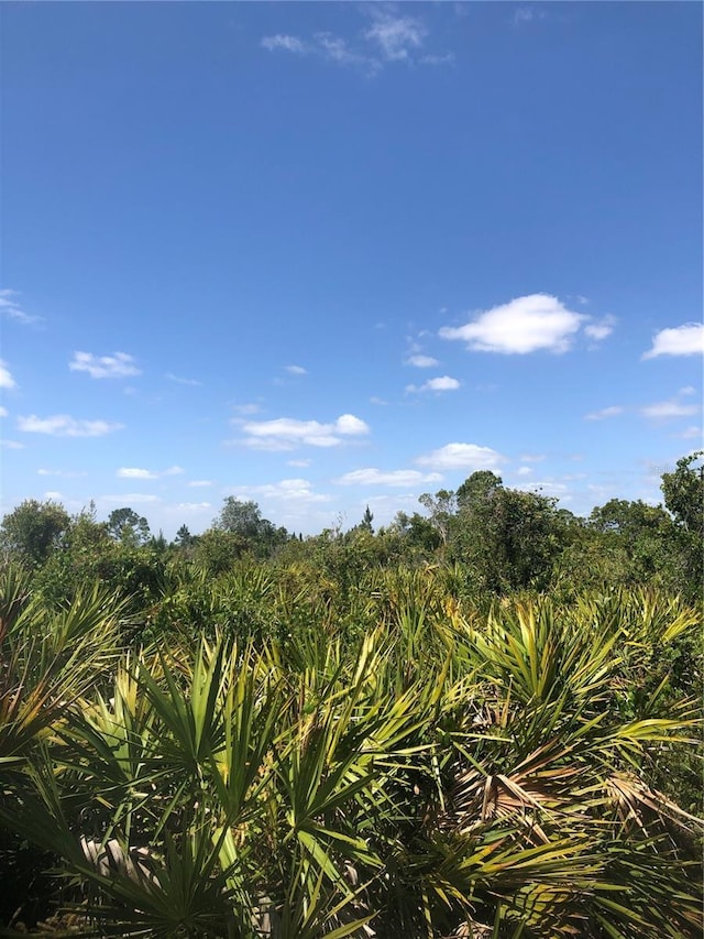 48155 Bermont Rd, Punta Gorda, FL 33982 - photo 6
