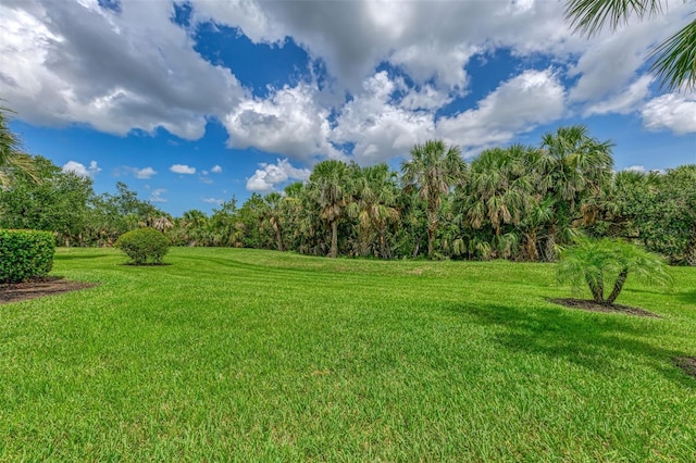 13051 Creekside Ln, Port Charlotte, FL 33953 - view of green lawn