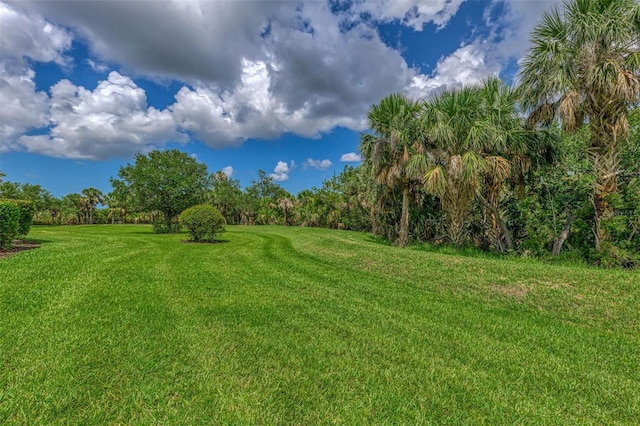 13051 Creekside Ln, Port Charlotte, FL 33953 - view of grassy yard