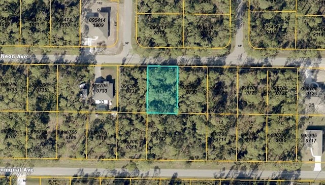 Neon Ave, North Port, FL 34291