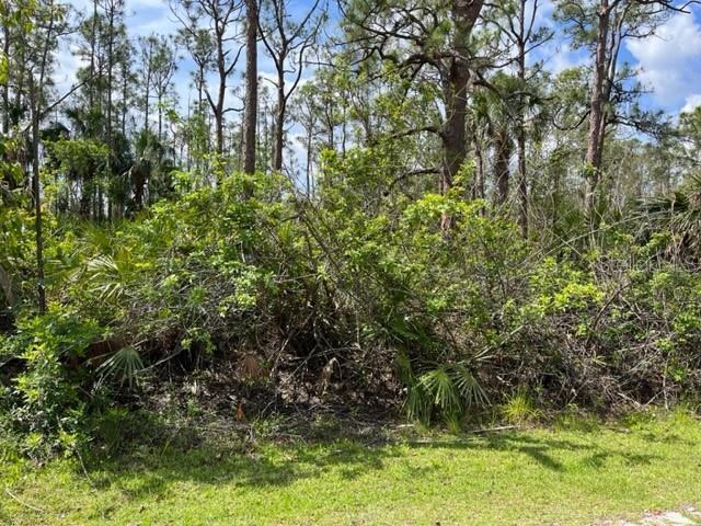 28249 N Twin Lakes Dr, Punta Gorda, FL 33955 - photo 1