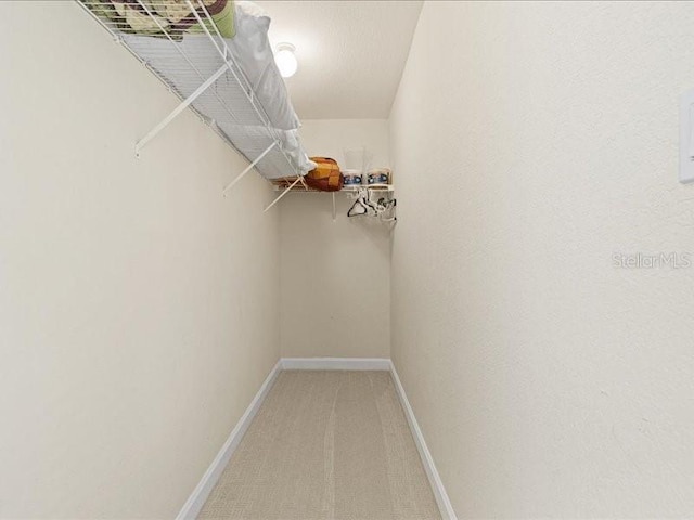 23 Pine Valley Ct, Rotonda West, FL 33947 - walk in closet with carpet flooring