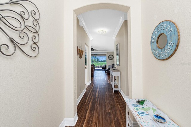 3207 Village Ln, Port Charlotte, FL 33953 - photo 15