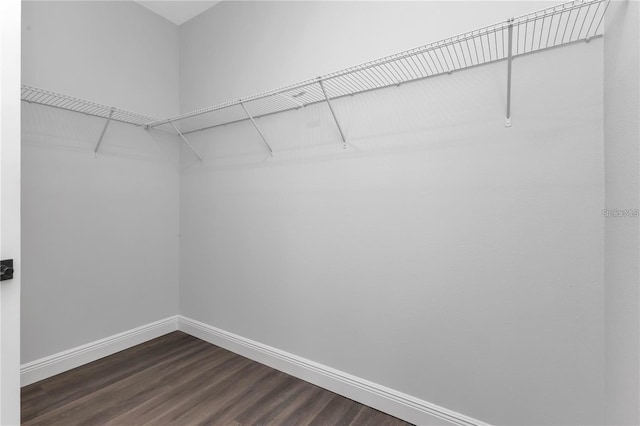 329 Overbrook St, Port Charlotte, FL 33954 - walk in closet featuring dark wood-style floors
