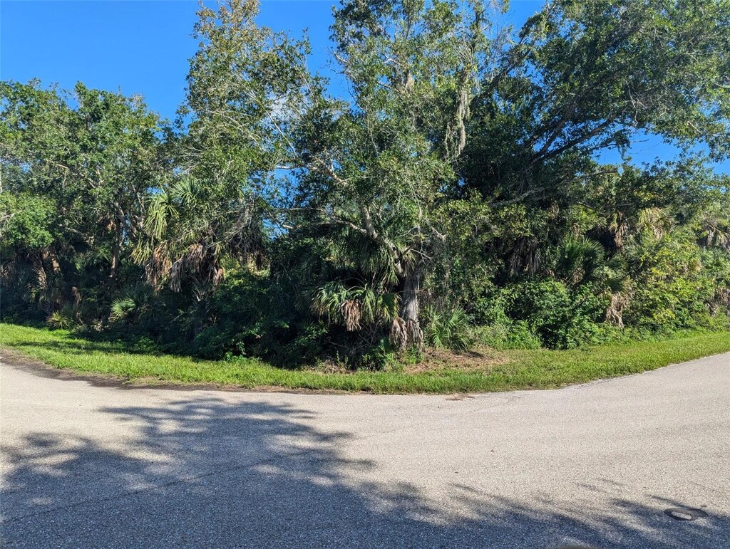 16506 Mclaury Ave, Port Charlotte, FL 33954 - photo 2