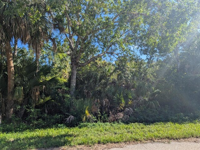 16506 Mclaury Ave, Port Charlotte, FL 33954 - photo 3