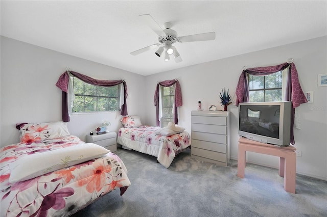 196 Lecturn St, Port Charlotte, FL 33954 - bedroom with multiple windows, carpet flooring, and ceiling fan
