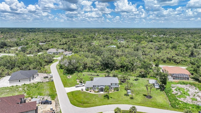 196 Lecturn St, Port Charlotte, FL 33954 - aerial view of a forest