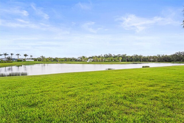 10258 Morning Mist Ln, Sarasota, FL 34241 - photo 39