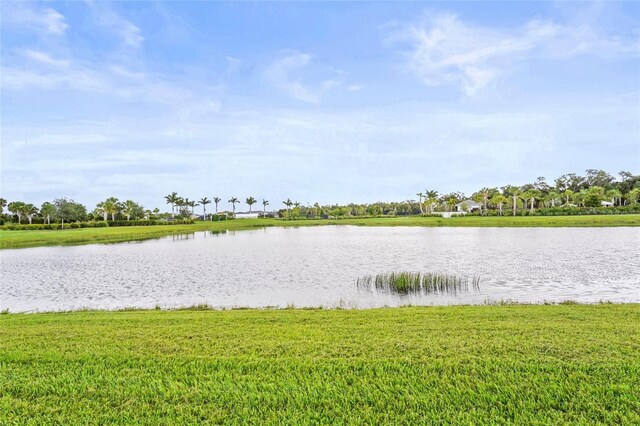 10258 Morning Mist Ln, Sarasota, FL 34241 - photo 41