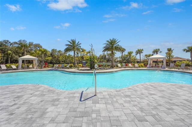 10258 Morning Mist Ln, Sarasota, FL 34241 - photo 53