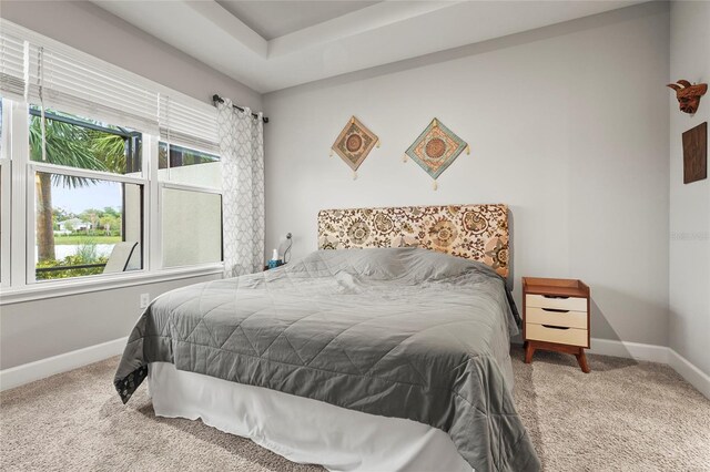 10258 Morning Mist Ln, Sarasota, FL 34241 - photo 22