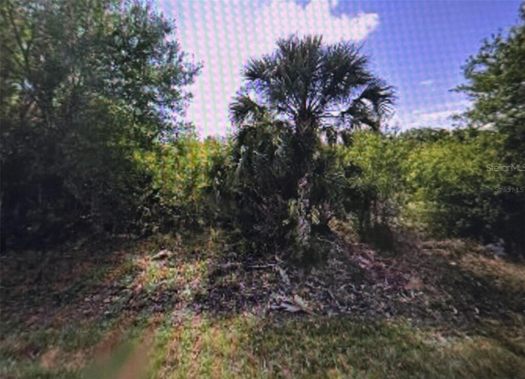 11443 3rd Ave, Punta Gorda, FL 33955 - photo 1