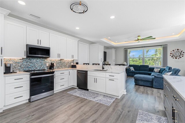 1119 Boundary Blvd, Rotonda West, FL 33947 - kitchen with appliances with stainless steel finishes, a raised ceiling, light wood-type flooring, open floor plan, and a peninsula