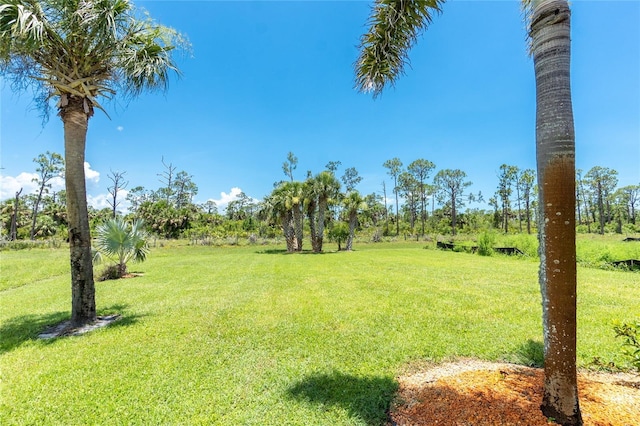 1119 Boundary Blvd, Rotonda West, FL 33947 - view of grassy yard