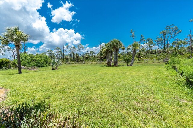 1119 Boundary Blvd, Rotonda West, FL 33947 - view of green lawn